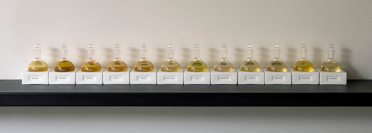 Row of flagship eau de parfum flasks with labels on handmade porcelain bases on a shelf against a plain background